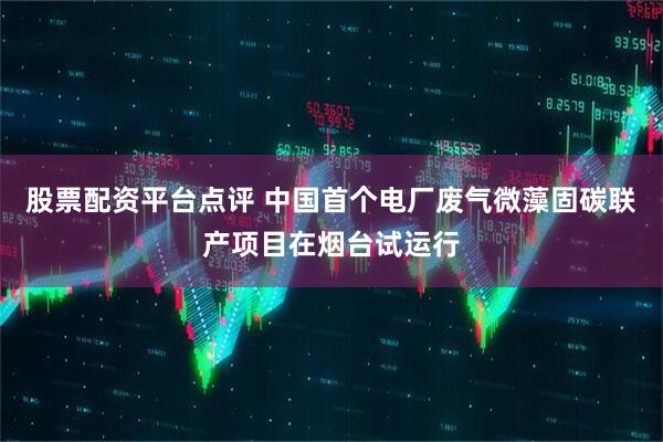 股票配资平台点评 中国首个电厂废气微藻固碳联产项目在烟台试运行