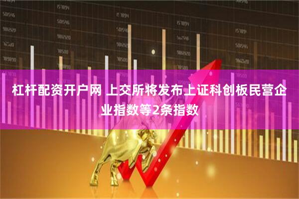 杠杆配资开户网 上交所将发布上证科创板民营企业指数等2条指数