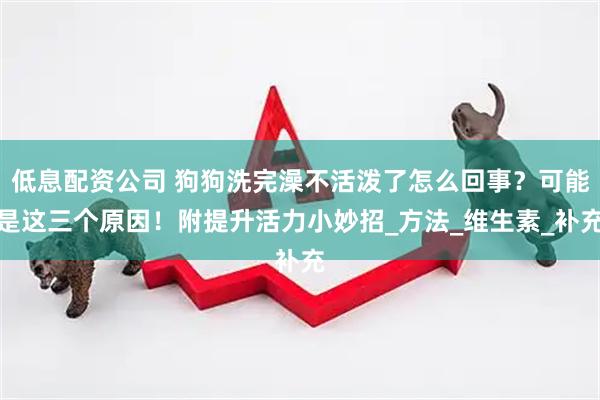 低息配资公司 狗狗洗完澡不活泼了怎么回事？可能是这三个原因！附提升活力小妙招_方法_维生素_补充
