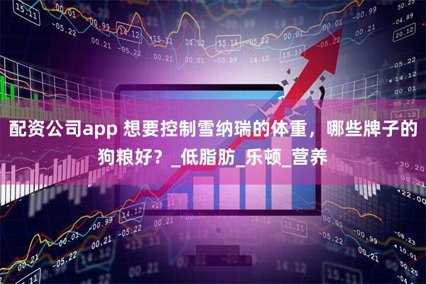 配资公司app 想要控制雪纳瑞的体重，哪些牌子的狗粮好？_低脂肪_乐顿_营养